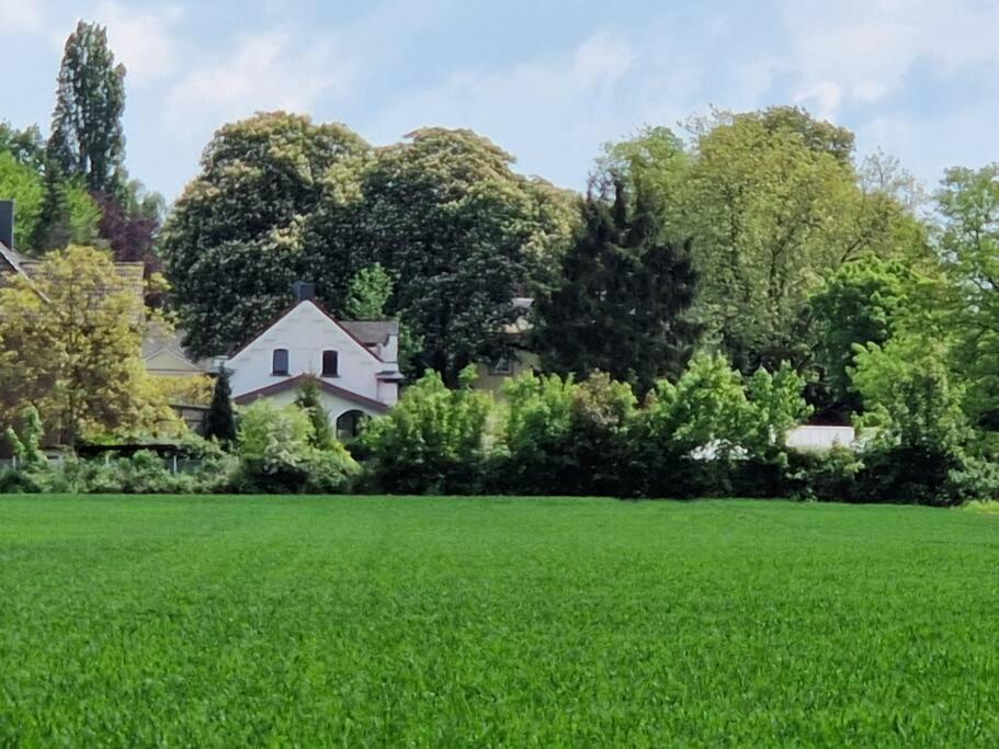 Historische Villa Mit Garten, Luxus 梅尔布施 外观 照片